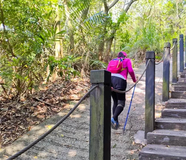 三汀山登山步道 三汀山登山步道