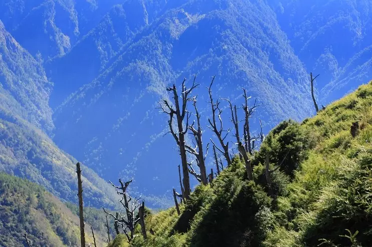 鹿林山麟趾山登山口