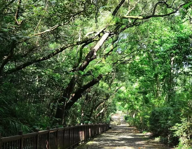 田中森林公園步道 田中森林公園步道
