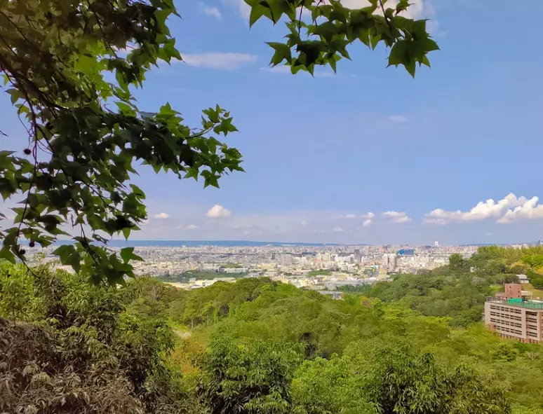 三汀山登山步道 三汀山登山步道
