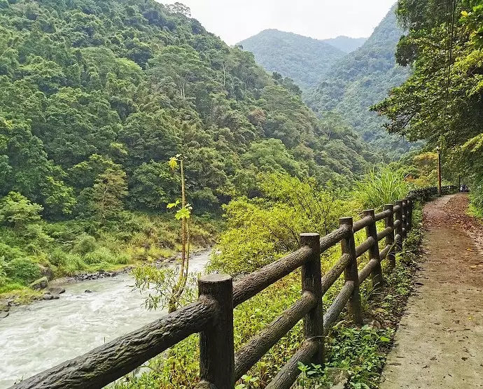 信賢步道 信賢步道