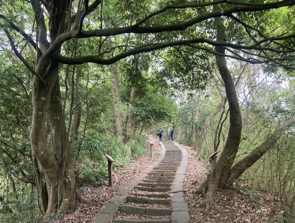 飛鳳山觀景台