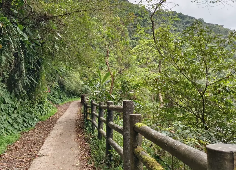 內洞森林遊樂區 內洞森林遊樂區