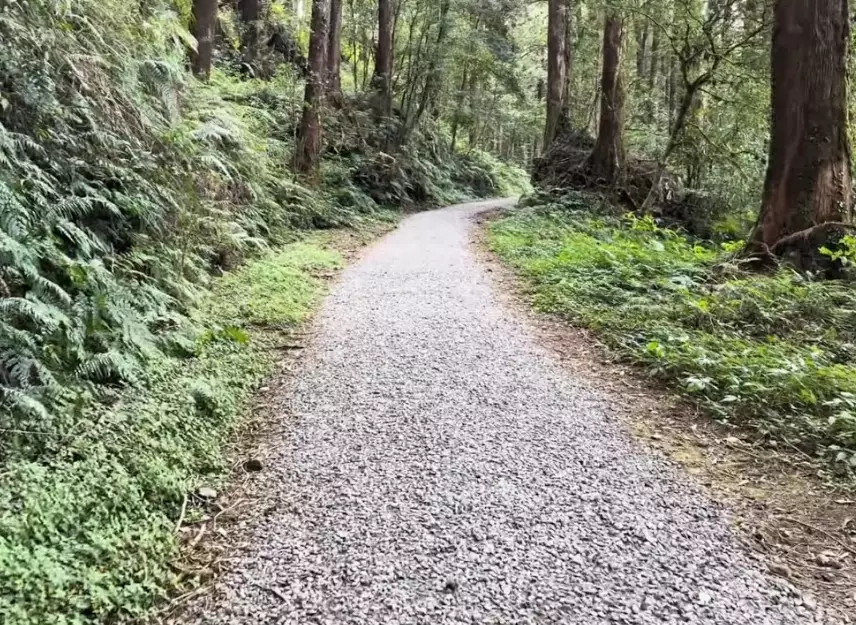 水山療癒步道停車