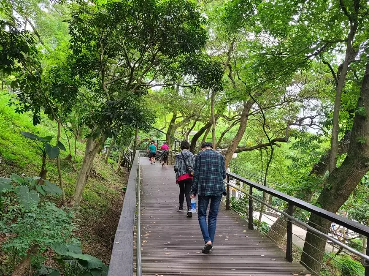 桃園虎頭山步道