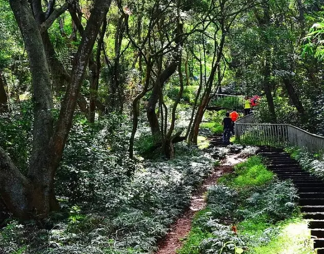 田中森林公園步道 田中森林公園步道