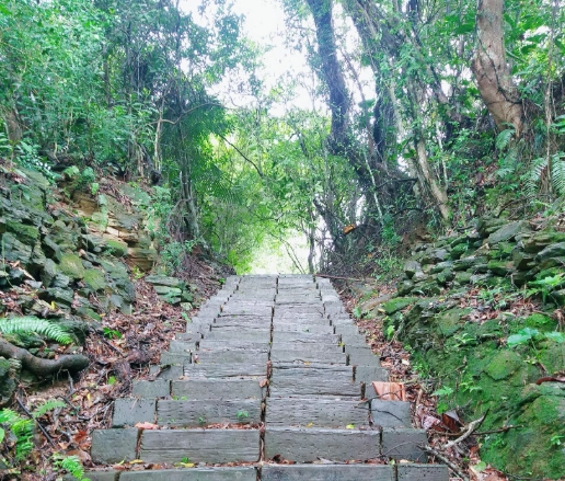 虎頭山步道推薦