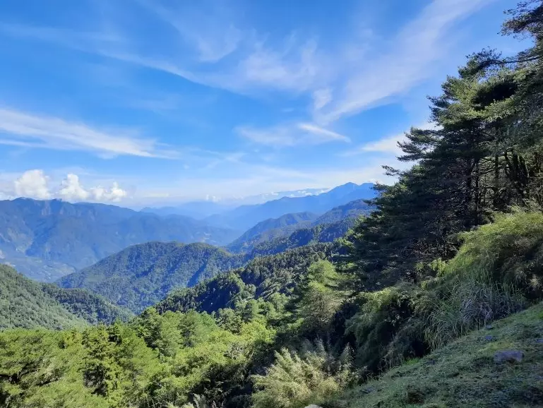 鹿林麟趾山輕鬆路線