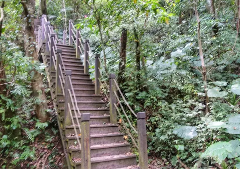 望古瀑布步道 望古瀑布步道