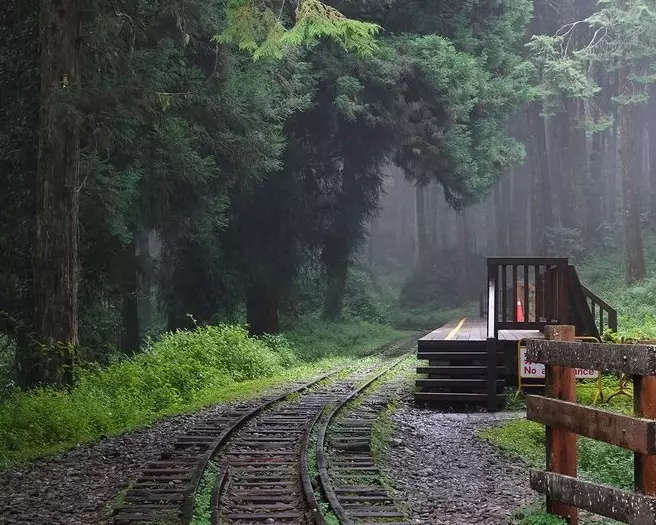 台灣登山步道 台灣登山步道