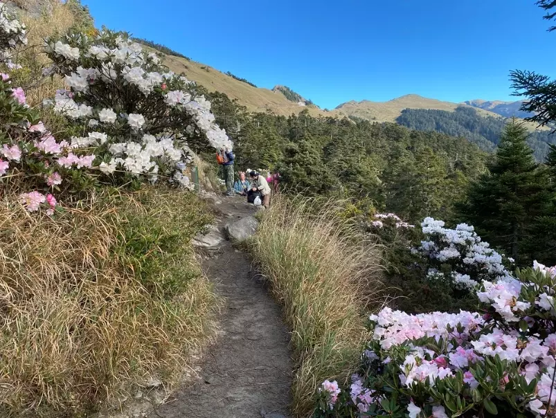 合歡山登山 合歡山登山