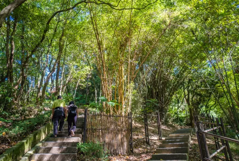 虎頭山步道推薦