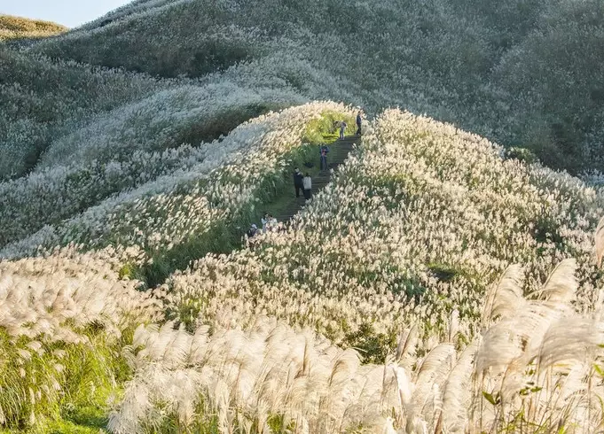 瑞芳登山路線 瑞芳登山路線