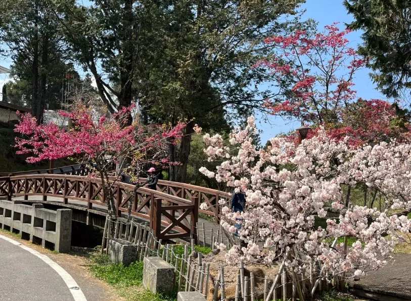 水山療癒步道停車