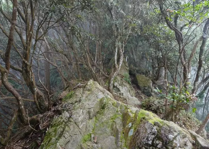 日月潭登山路線