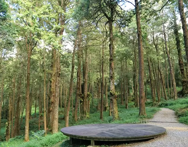 水山療癒步道停車