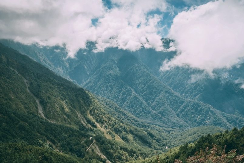 鹿林山麟趾山登山口