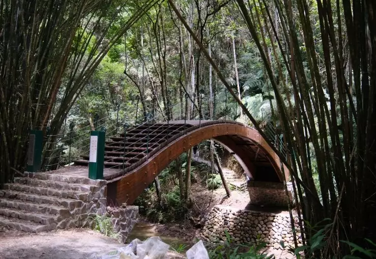 澀水森林步道 怎麼去 澀水森林步道 怎麼去