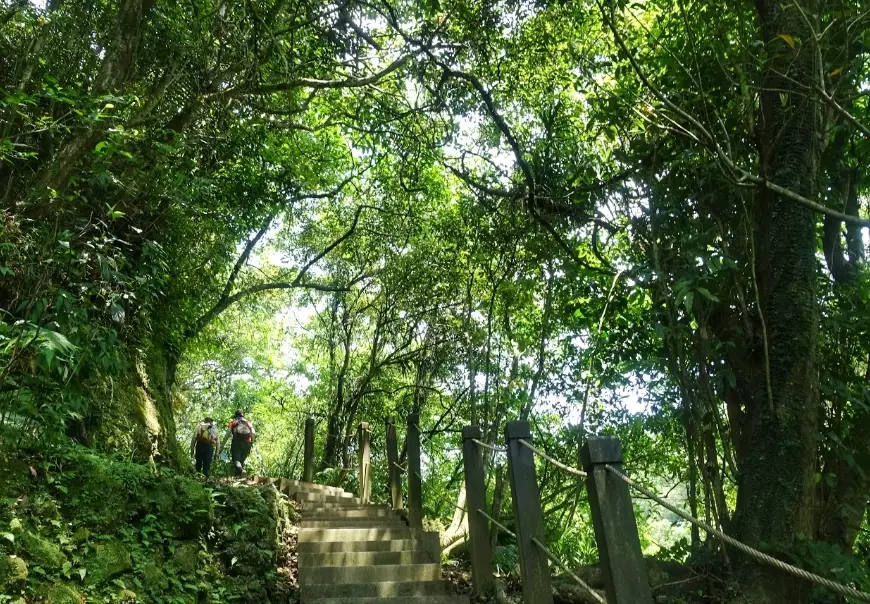 嶺腳寮山登山 嶺腳寮山登山