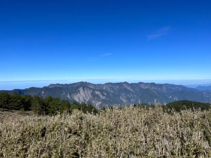 鹿林山麟趾山步道