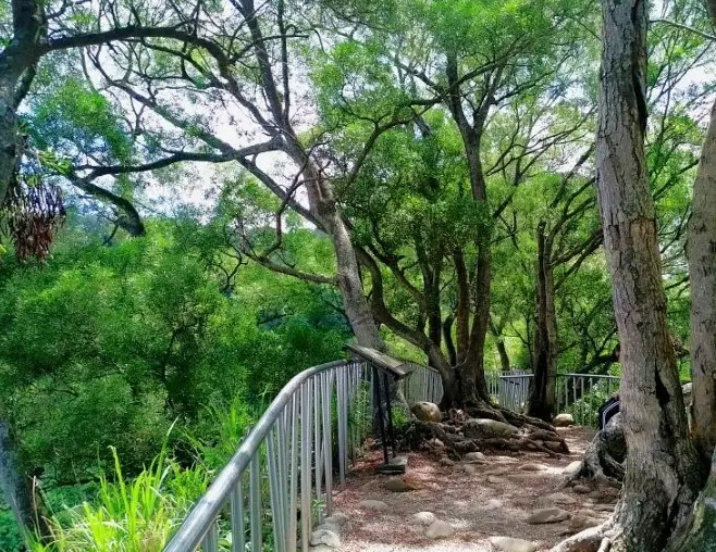 彰化親子步道 彰化親子步道