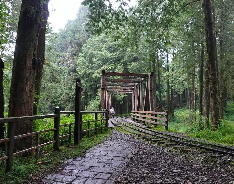 步道整修 步道整修