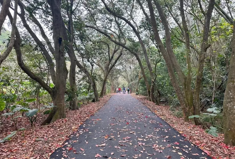松柏嶺受天宮 松柏嶺受天宮