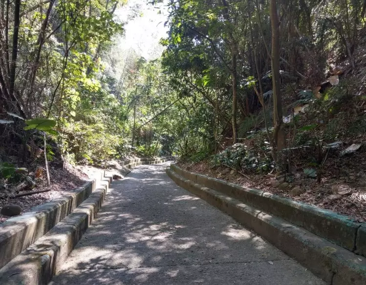 八卦山步道推薦 八卦山步道推薦