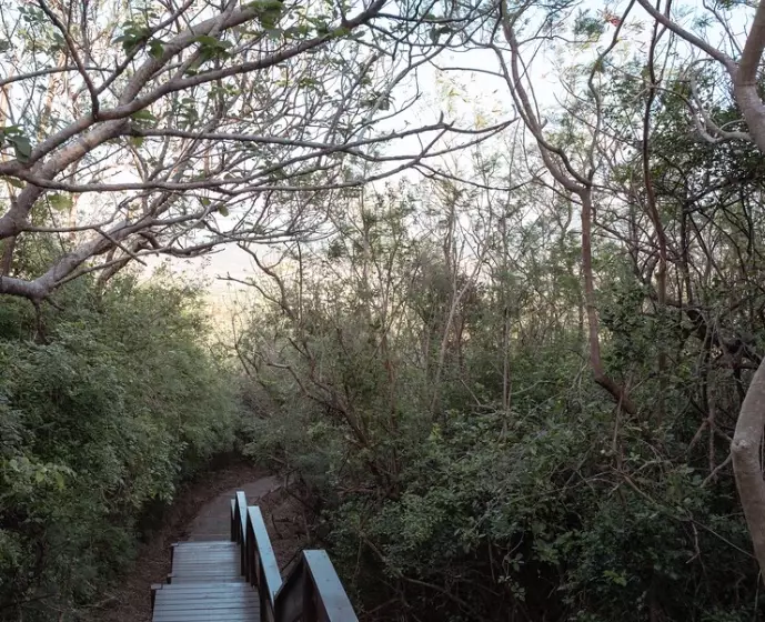 墾丁私房步道 墾丁私房步道