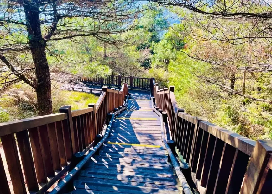 觀霧景點