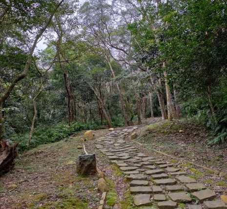 楊梅步道 楊梅步道
