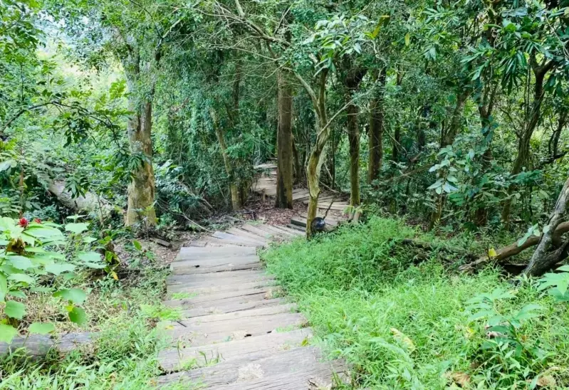 鈺鼎步道 鈺鼎步道