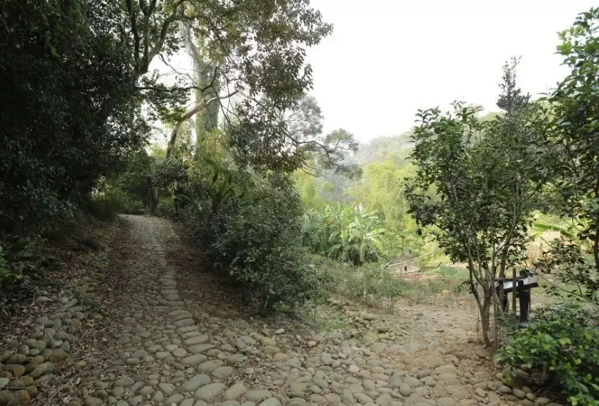 台灣紅土步道 台灣紅土步道