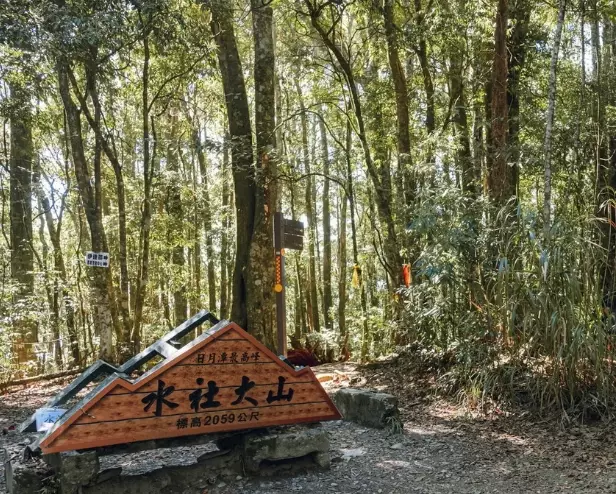 水社大山 入園證 水社大山 入園證