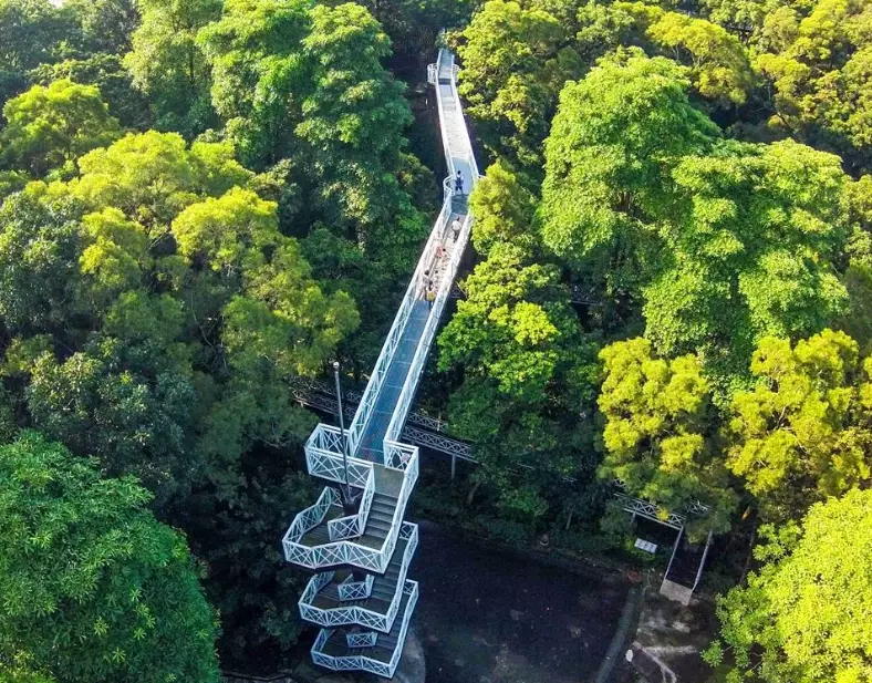 嘉義天空步道