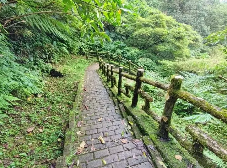 二格山登山步道 二格山登山步道