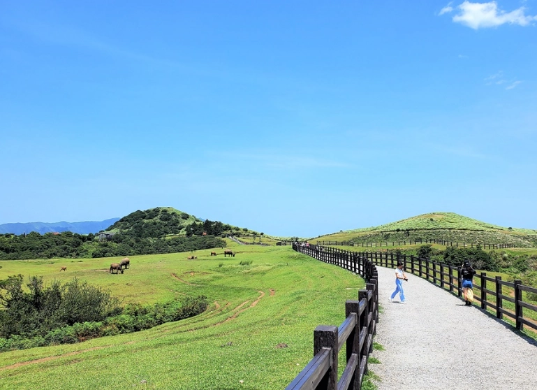 河濱公園野餐 河濱公園野餐
