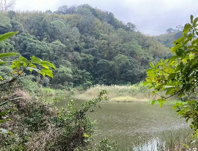 雲林步道 雲林步道