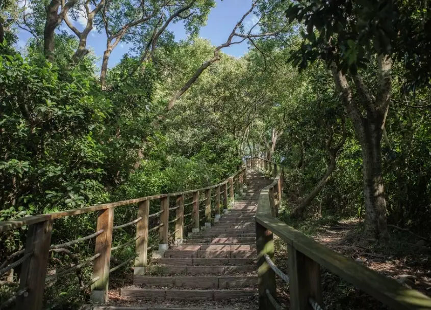 桃園蘆竹步道