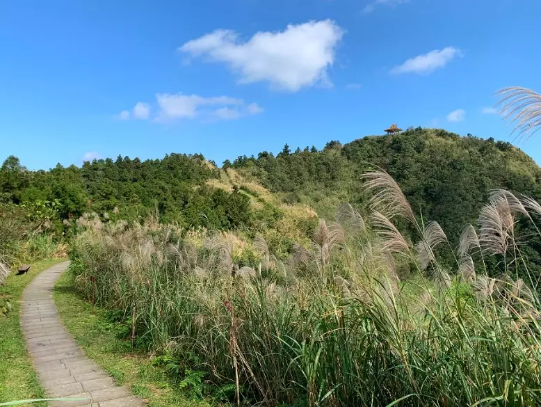 五分山秋景 五分山秋景