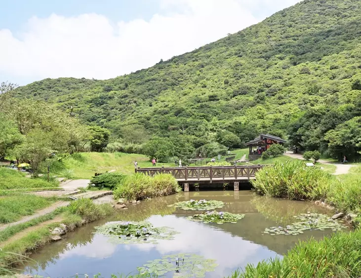 陽明山二子坪 陽明山二子坪