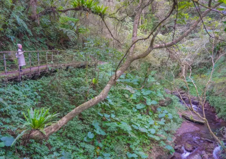 林美石磐步道 林美石磐步道