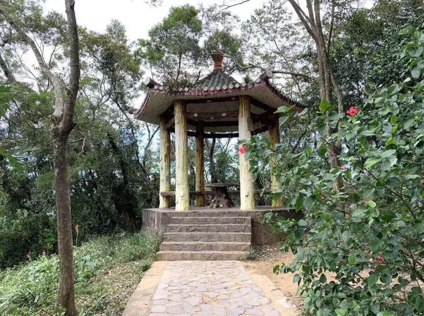 飛鳳山步道 飛鳳山步道