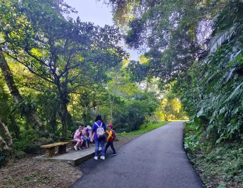 百吉林蔭步道