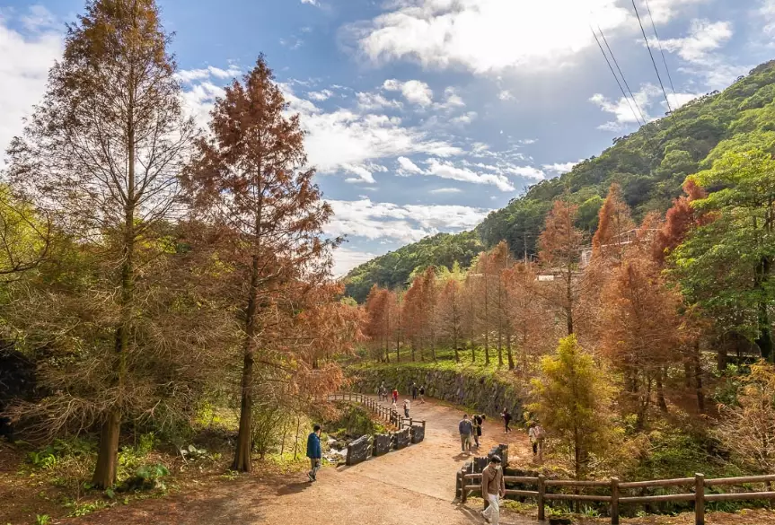 陽明山步道 陽明山步道