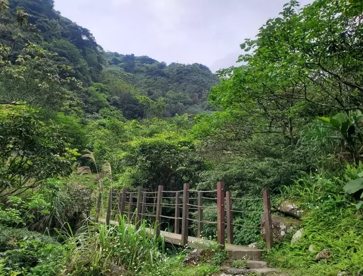 小粗坑古道停車 小粗坑古道停車