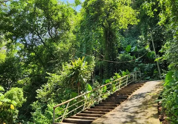 觀音山硬漢嶺 觀音山硬漢嶺
