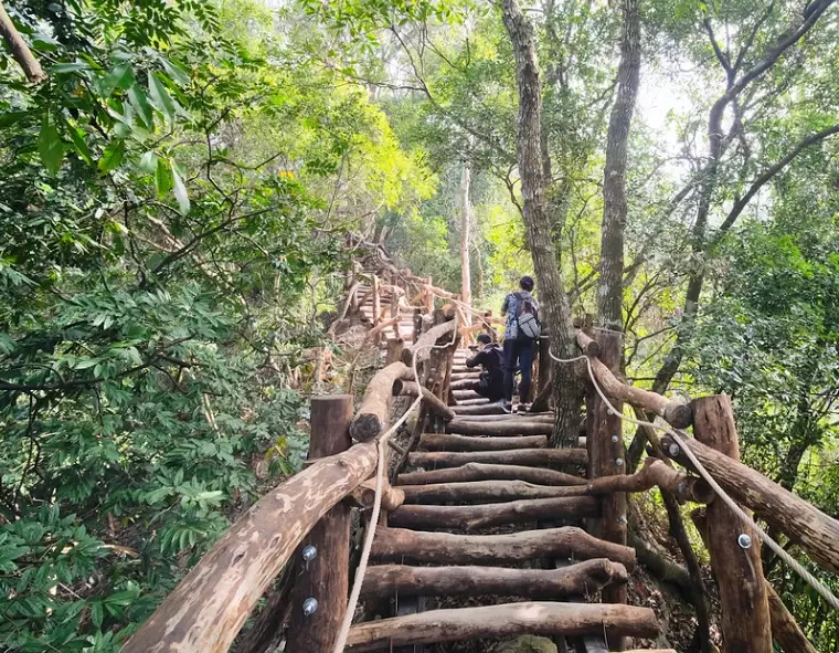台中登山步道替代 台中登山步道替代
