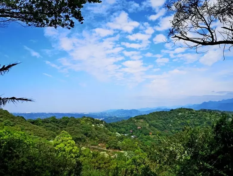 飛鳳山怎麼去 飛鳳山怎麼去