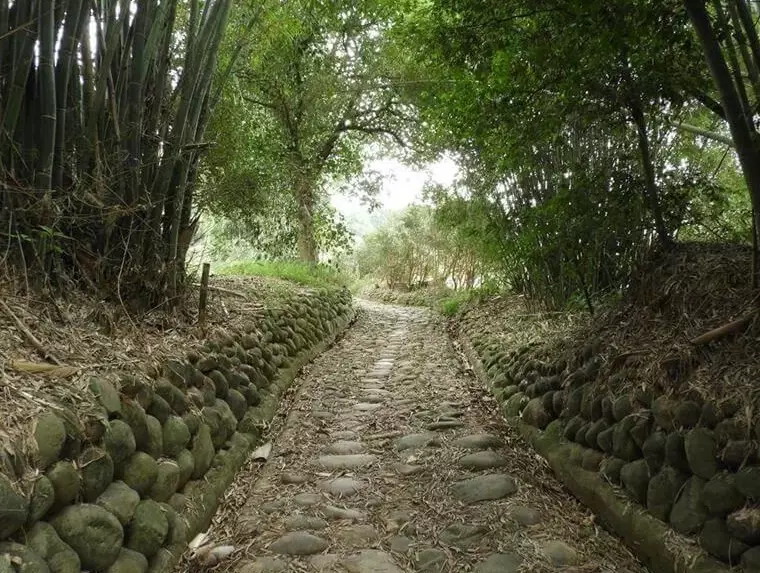 楊梅步道 楊梅步道